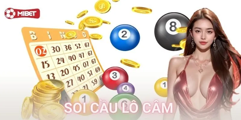Cách soi cầu lô câm hiệu quả